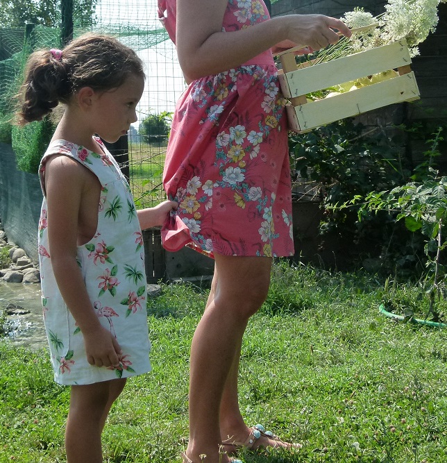 P1180557 (2)