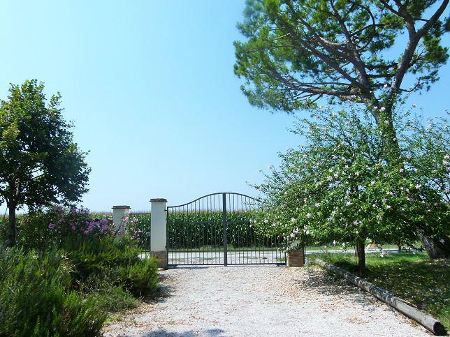 P1180708